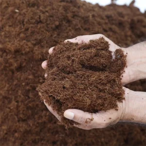 Cocopeat