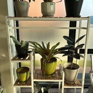 INDOOR POT FOR PLANT