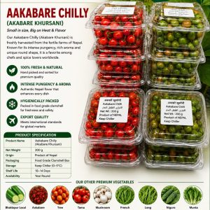 AAKABARE CHILLY (AAKABARE KHURSANI)